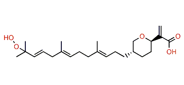 Rhopaloic acid H